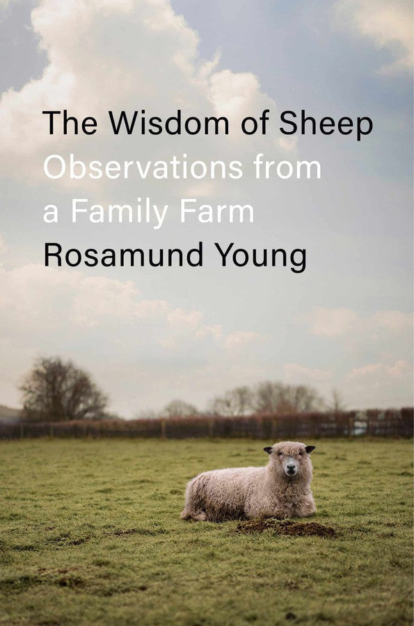 The Wisdom of Sheep-Animals and society-買書書 BuyBookBook