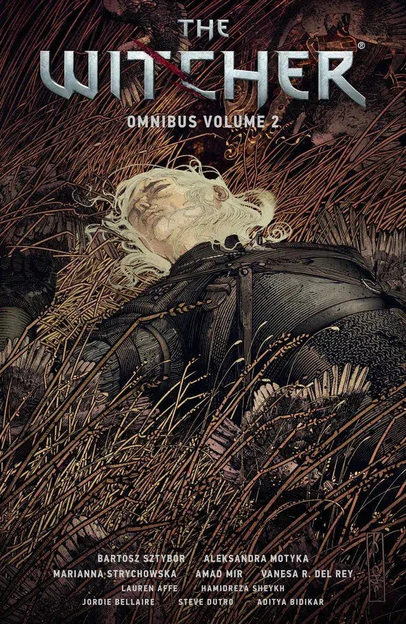 The Witcher Omnibus Volume 2-Graphic novel / Comic book / Manga: genres-買書書 BuyBookBook