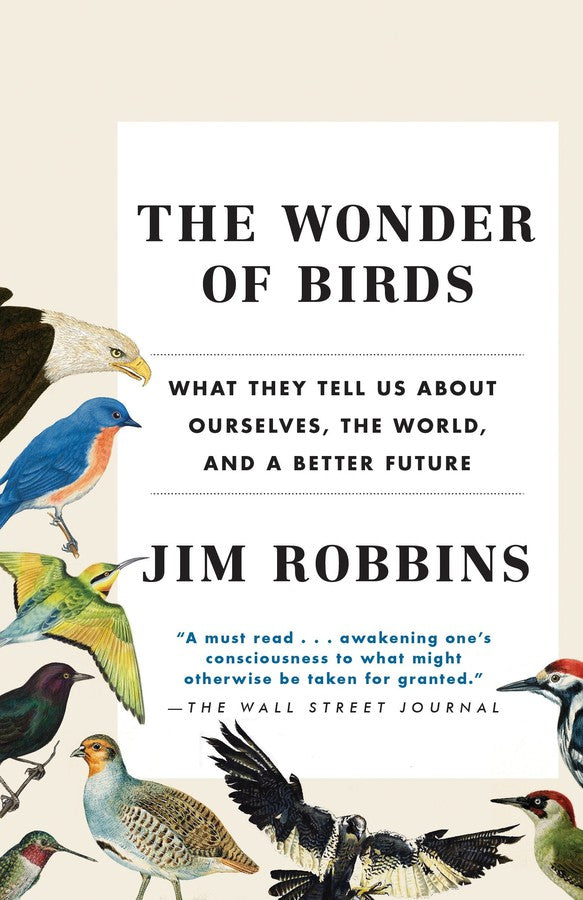 The Wonder of Birds-Mathematics and Science-買書書 BuyBookBook