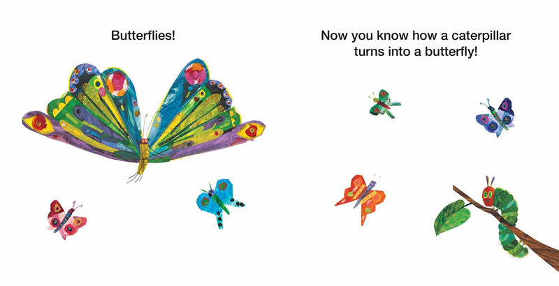 How Does a Caterpillar Change?