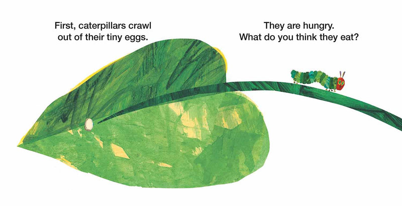 How Does a Caterpillar Change?