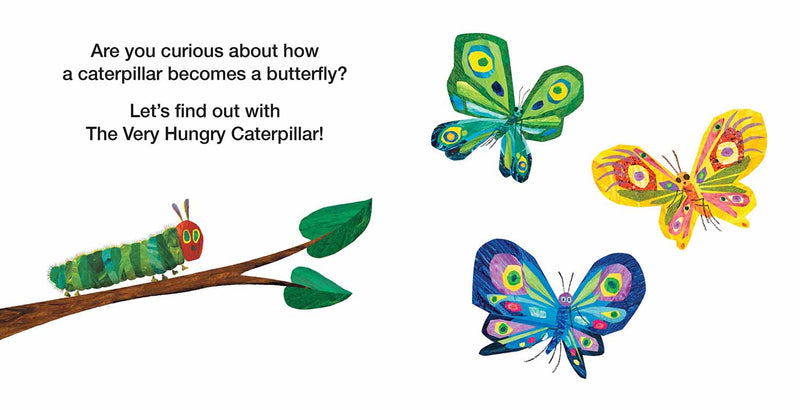 The World of Eric Carle - How Does a Caterpillar Change? (Eric Carle) DK US