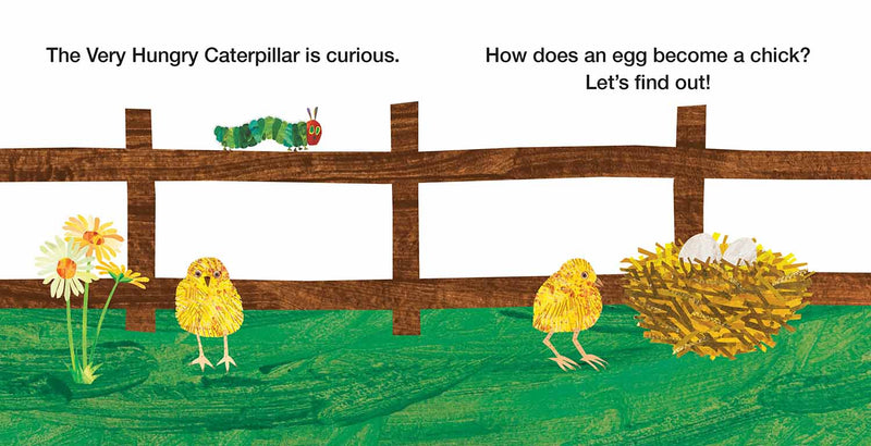 The World of Eric Carle - How Does an Egg Hatch? (Eric Carle) DK US