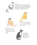 The Adventures of Miss Petitfour (Anne Michaels)-Fiction: 奇幻魔法 Fantasy & Magical-買書書 BuyBookBook