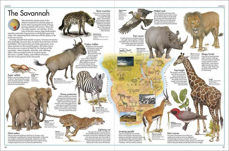 Animal Atlas, The DK UK