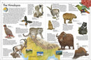 Animal Atlas, The DK UK