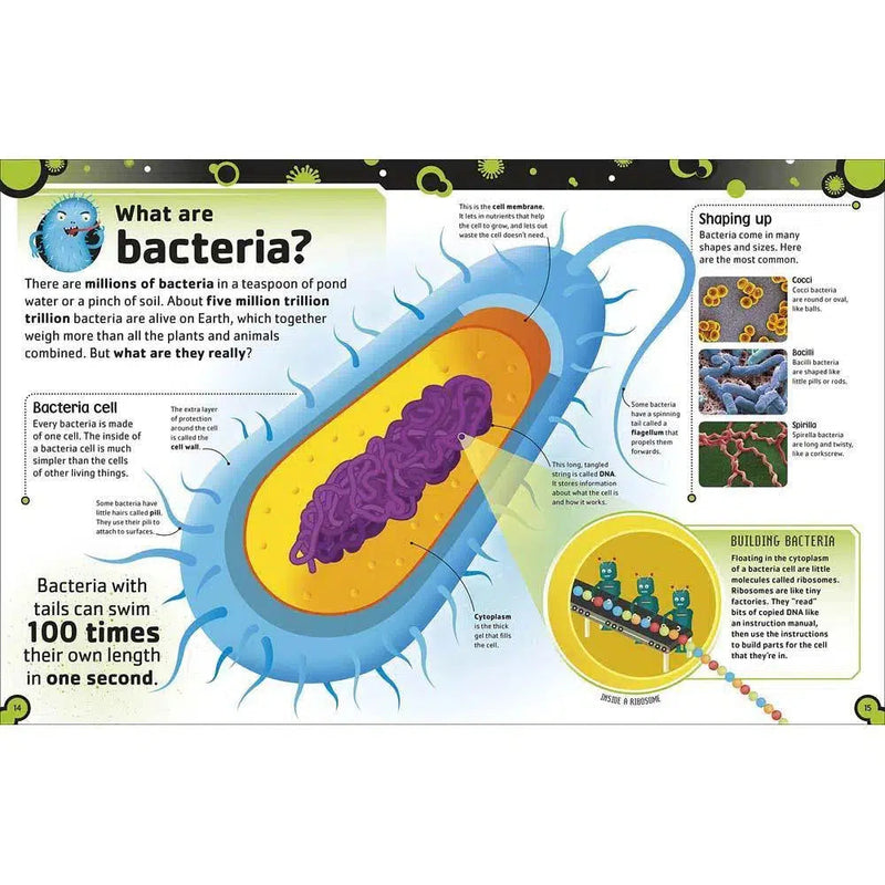 The Bacteria Book (Hardback) DK UK