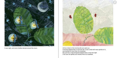 The Bad-tempered Ladybird(Eric Carle) - 買書書 BuyBookBook
