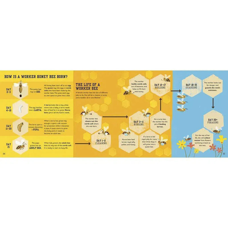 The Bee Book (Hardback) DK UK