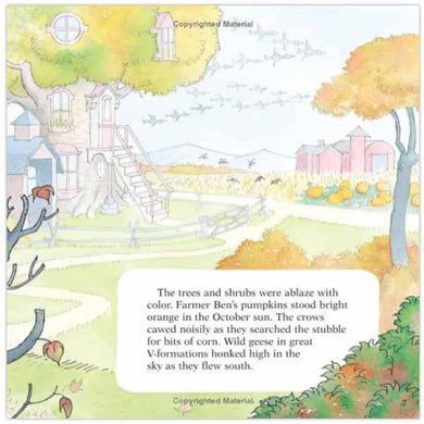 The Berenstain Bears Fall Family Fun