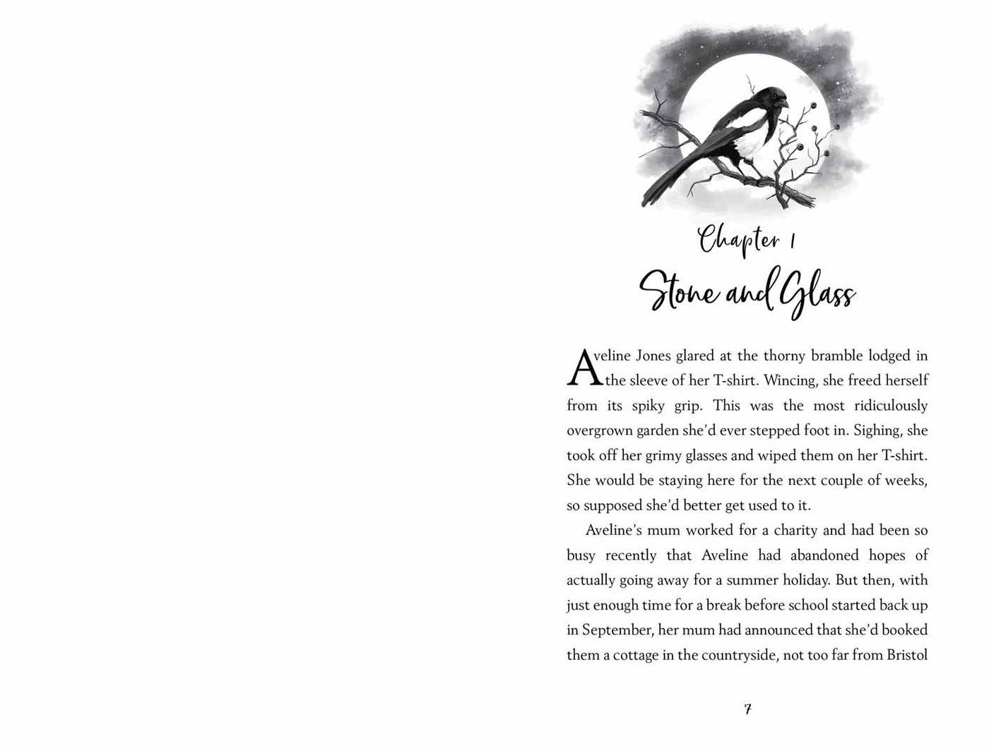The Bewitching of Aveline Jones Usborne