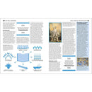 Big Ideas Simply Explained - The Bible Book (Hardback) DK UK