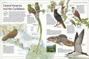 Bird Atlas, The DK UK