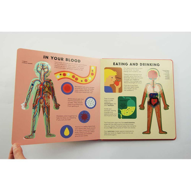 The Body Book (Board Book) Nosy Crow