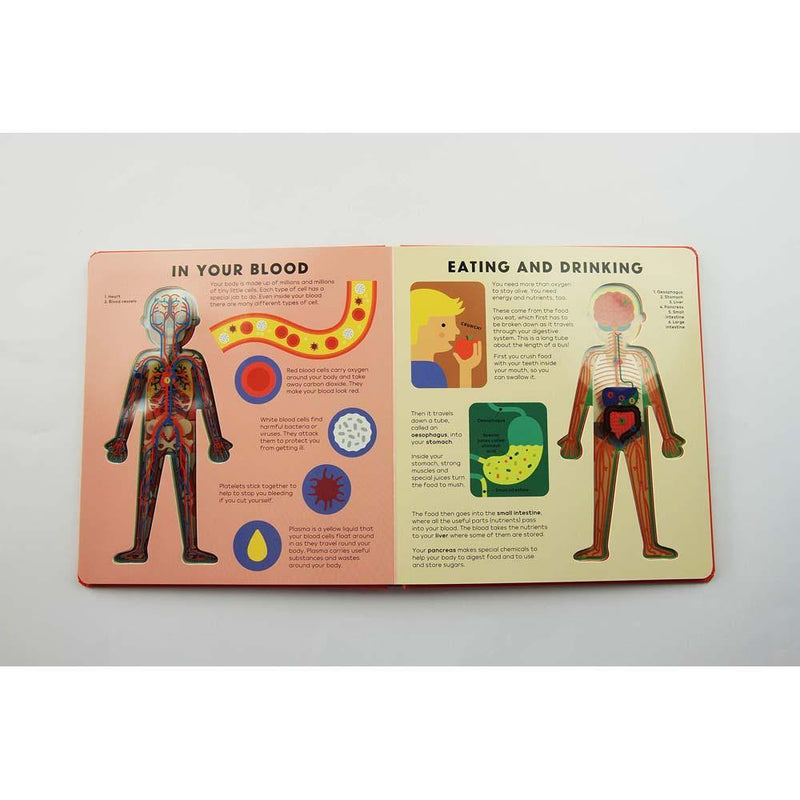 The Body Book (Board Book) Nosy Crow