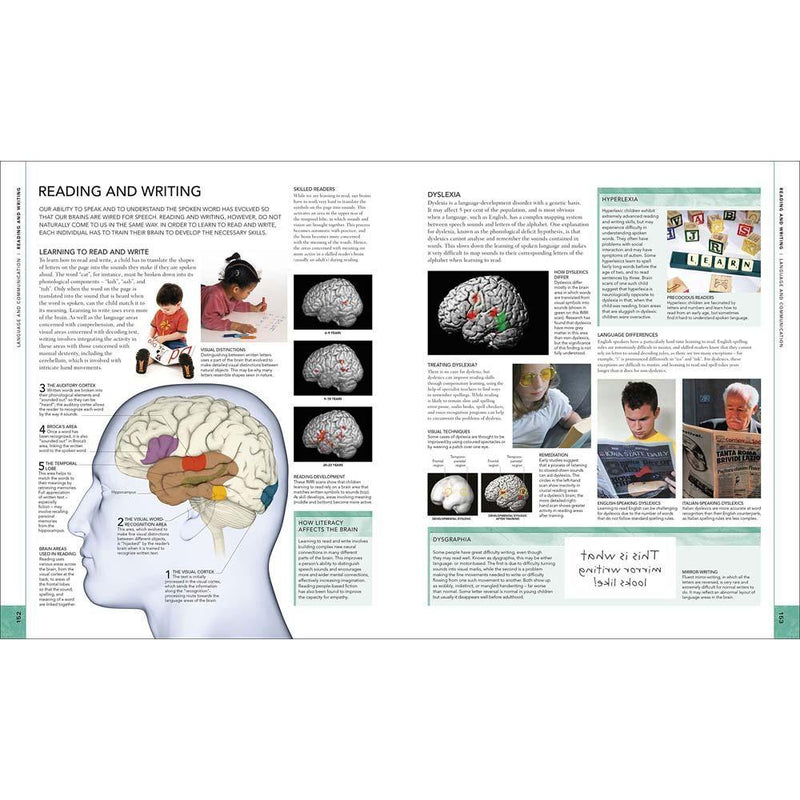 The Brain Book - An Illustrated Guide to its Structure, Functions, and Disorders (Hardback) DK UK