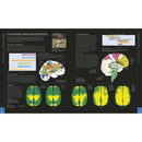 The Brain Book - An Illustrated Guide to its Structure, Functions, and Disorders (Hardback) DK UK