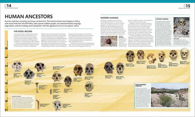 The Complete Human Body-Human biology-買書書 BuyBookBook
