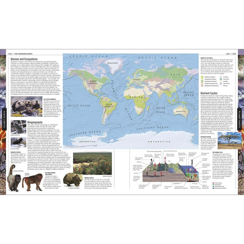 The Definitive Visual Guide - Earth (Hardback) DK UK