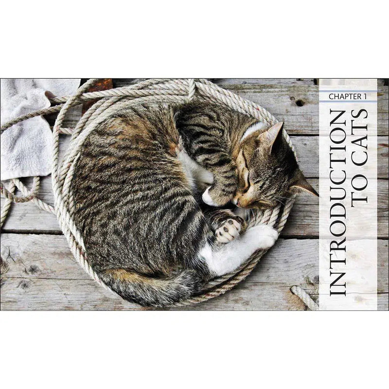 The Definitive Visual Guide - The Cat Encyclopedia (Hardback) DK UK