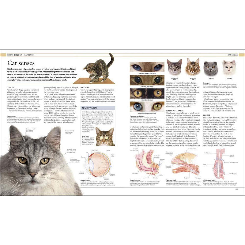 The Definitive Visual Guide - The Cat Encyclopedia (Hardback) DK UK