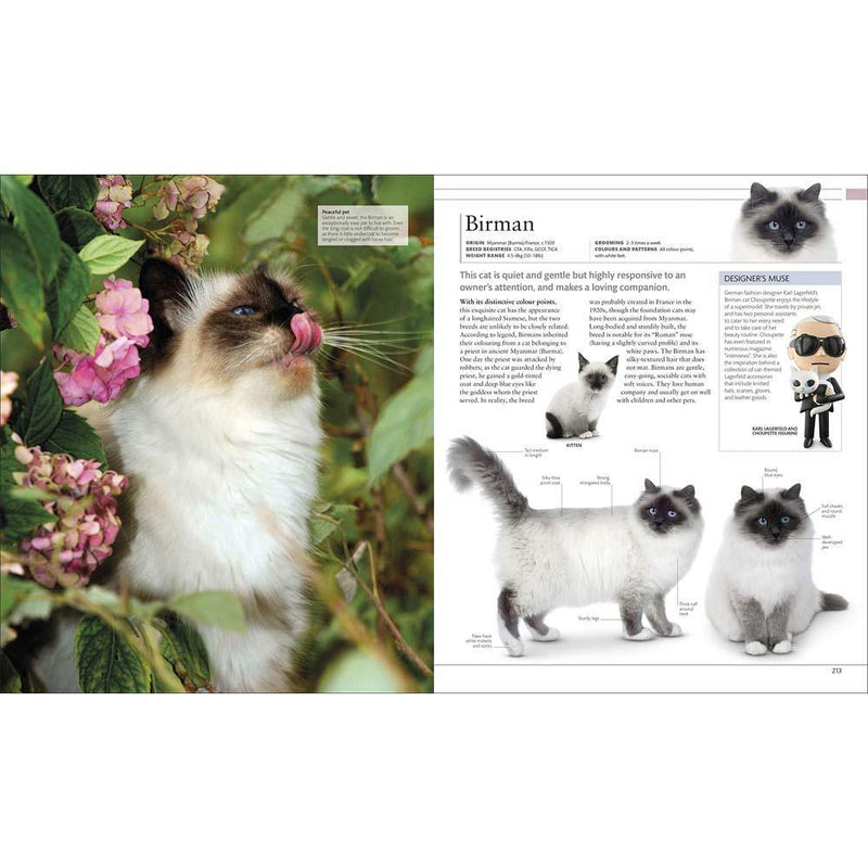 The Definitive Visual Guide - The Cat Encyclopedia (Hardback) DK UK