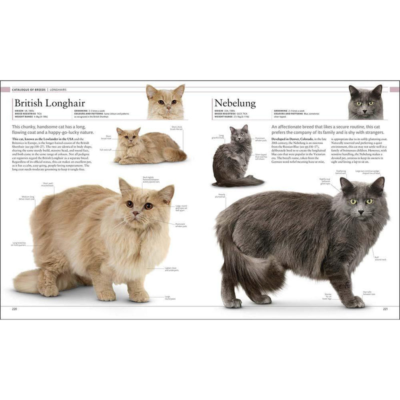 The Definitive Visual Guide - The Cat Encyclopedia (Hardback) DK UK