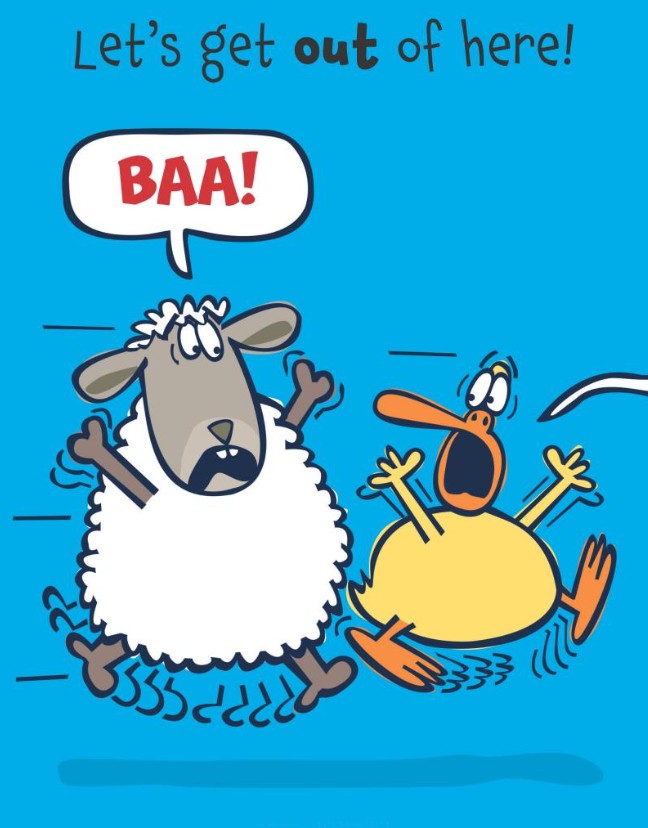 The Giggle Gang #01 What Is Chasing Duck? (Jan Thomas)-Fiction: 兒童繪本 Picture Books-買書書 BuyBookBook