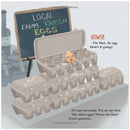 The Good Egg Presents - The Great Eggscape! (Jory John) Harpercollins US