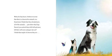 The Heaven of Animals (Nancy Tillman)-Fiction: 兒童繪本 Picture Books-買書書 BuyBookBook