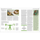 Big Ideas Simply Explained - The History Book (Hardback) DK UK