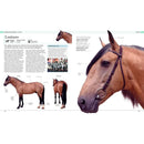 The Horse Encyclopedia (Hardback) DK UK