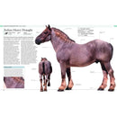 The Horse Encyclopedia (Hardback) DK UK