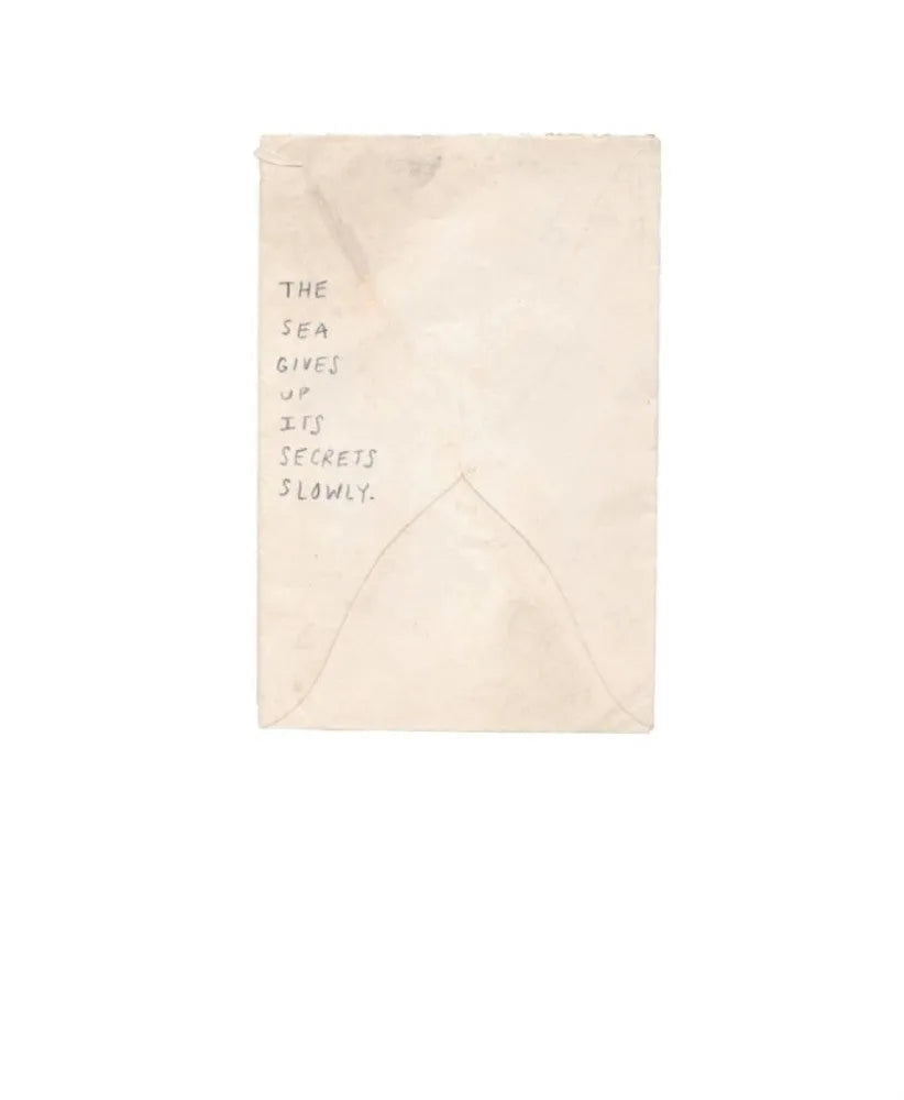 The Imaginaries : Little Scraps of Larger Stories (Emily Winfield Martin)-Fiction: 奇幻魔法 Fantasy & Magical-買書書 BuyBookBook