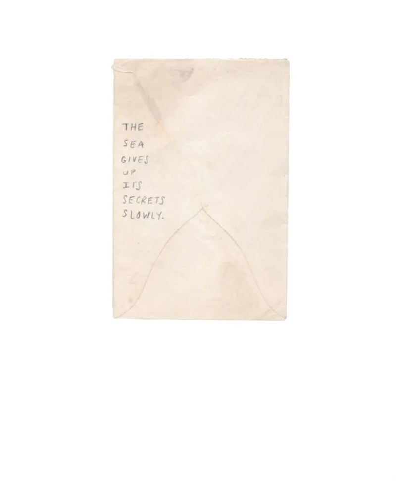 The Imaginaries : Little Scraps of Larger Stories (Emily Winfield Martin)-Fiction: 奇幻魔法 Fantasy & Magical-買書書 BuyBookBook