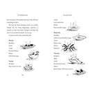 Midnight Gang, The (Paperback) (David Walliams) (Tony Ross) Harpercollins (UK)