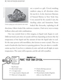 The Outdoor Scientist: The Wonder of Observing the Natural World-Nonfiction: 科學科技 Science & Technology-買書書 BuyBookBook