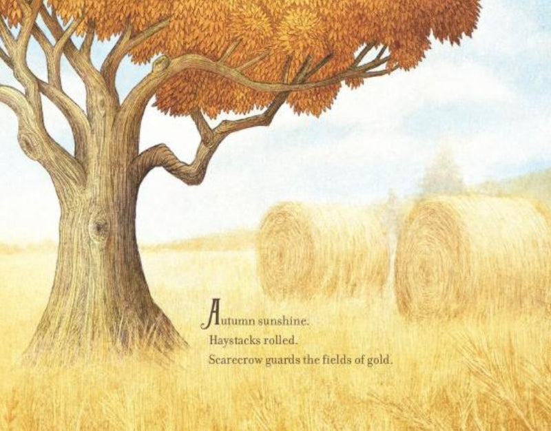The Scarecrow (Beth Ferry)-Fiction: 兒童繪本 Picture Books-買書書 BuyBookBook