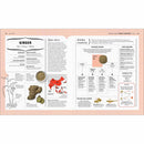 The Science of Spice (Hardback) DK UK