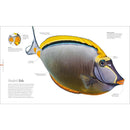 The Science of the Ocean- The Secrets of the Seas Revealed (Hardback) DK UK