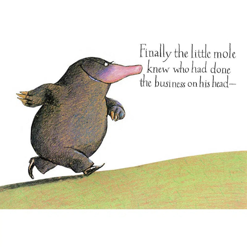 The Story of the Little Mole -30th anniversary Edition (Paperback) Pavilion