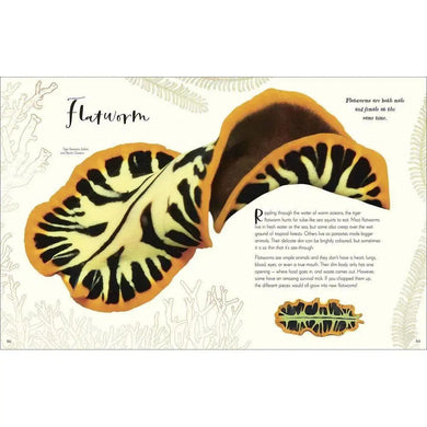 The Wonders of Nature (Hardback) DK UK