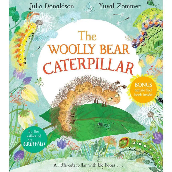 The Woolly Bear Caterpillar (Hardback)(Julia Donaldson) Macmillan UK