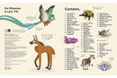 The World's Most Ridiculous Animals-Nonfiction: 動物植物 Animal & Plant-買書書 BuyBookBook