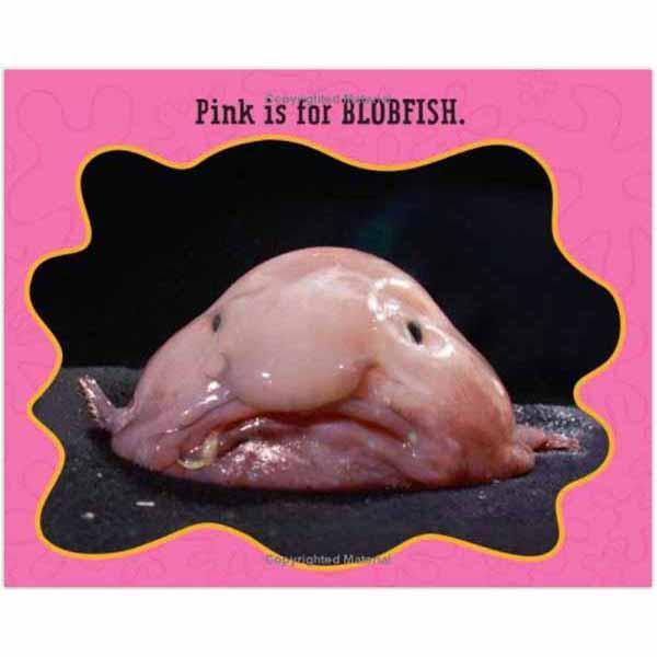 Pink Is For Blobfish-Children’s / Teenage general interest: Nature and animals-買書書 BuyBookBook