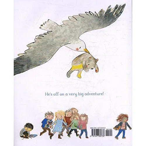 The Everywhere Bear (Julia Donaldson) Macmillan UK