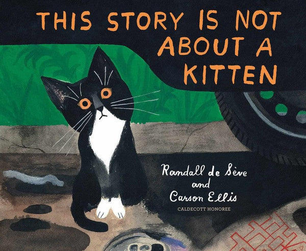 This Story Is Not About a Kitten-Children’s / Teenage fiction: Nature and animal stories-買書書 BuyBookBook