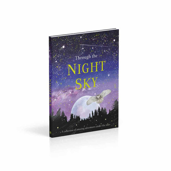 Through the Night Sky DK UK