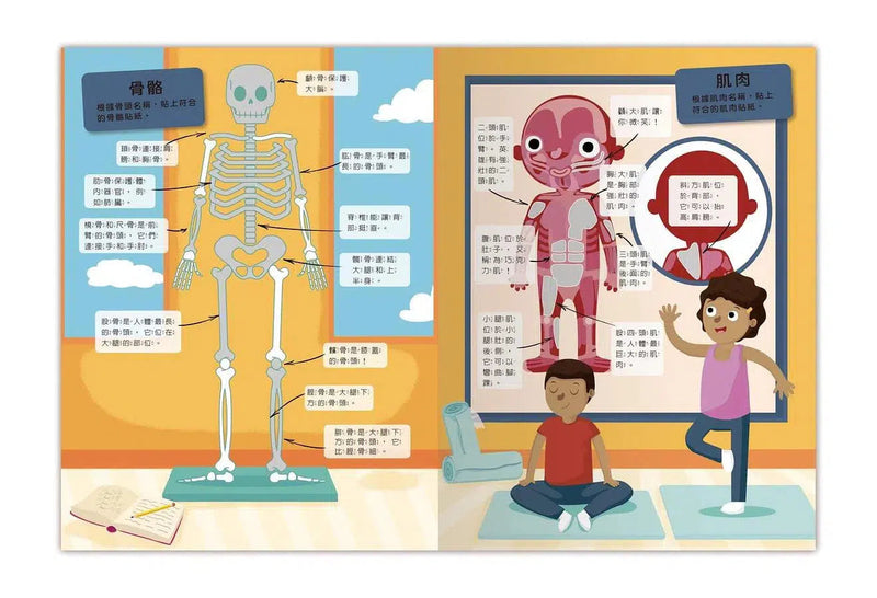 貼貼貼紙學學看！貼出身體好好玩 (全書超過100張貼紙)-活動: 繪畫貼紙 Drawing & Sticker-買書書 BuyBookBook