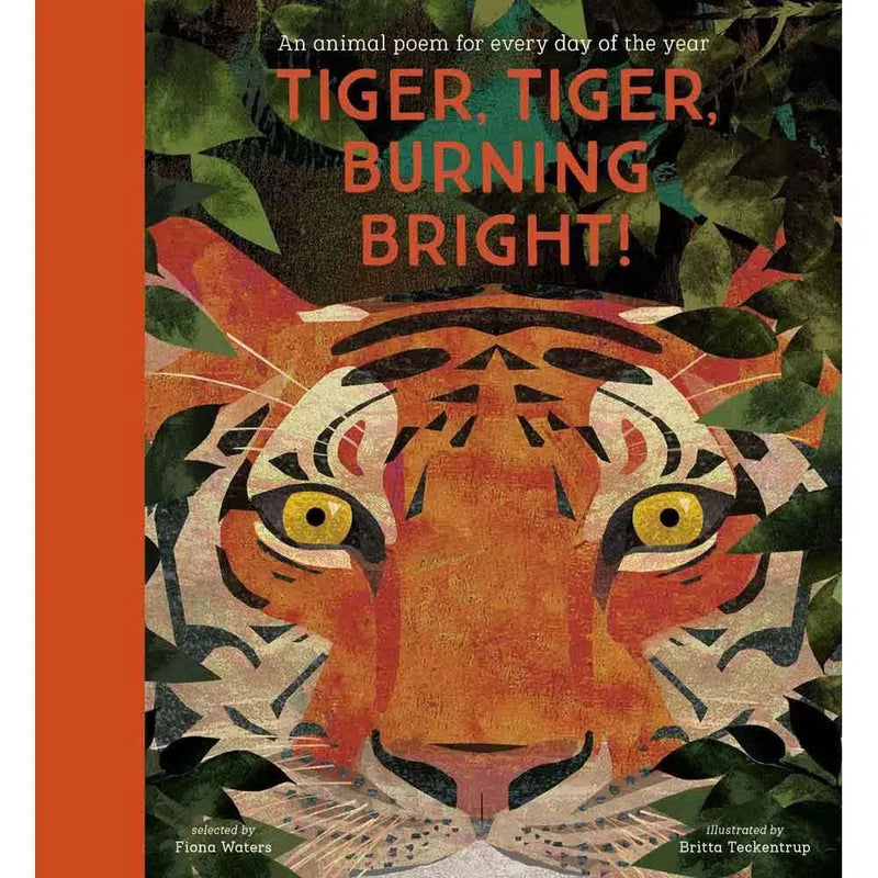 Tiger, Tiger, Burning Bright (Hardback) (Nosy Crow) Nosy Crow